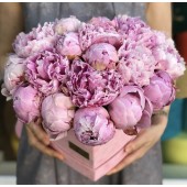 Сердце из Пионов